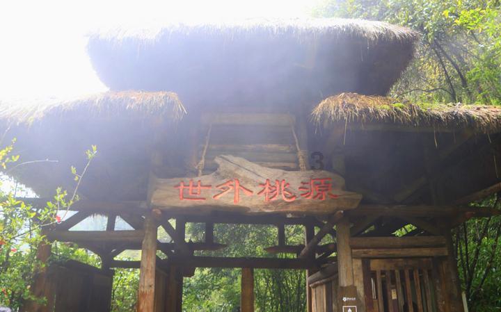 逃离午夜神坛